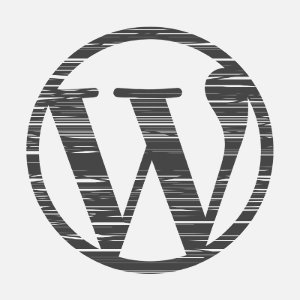 WordPress Website erstellen lassen